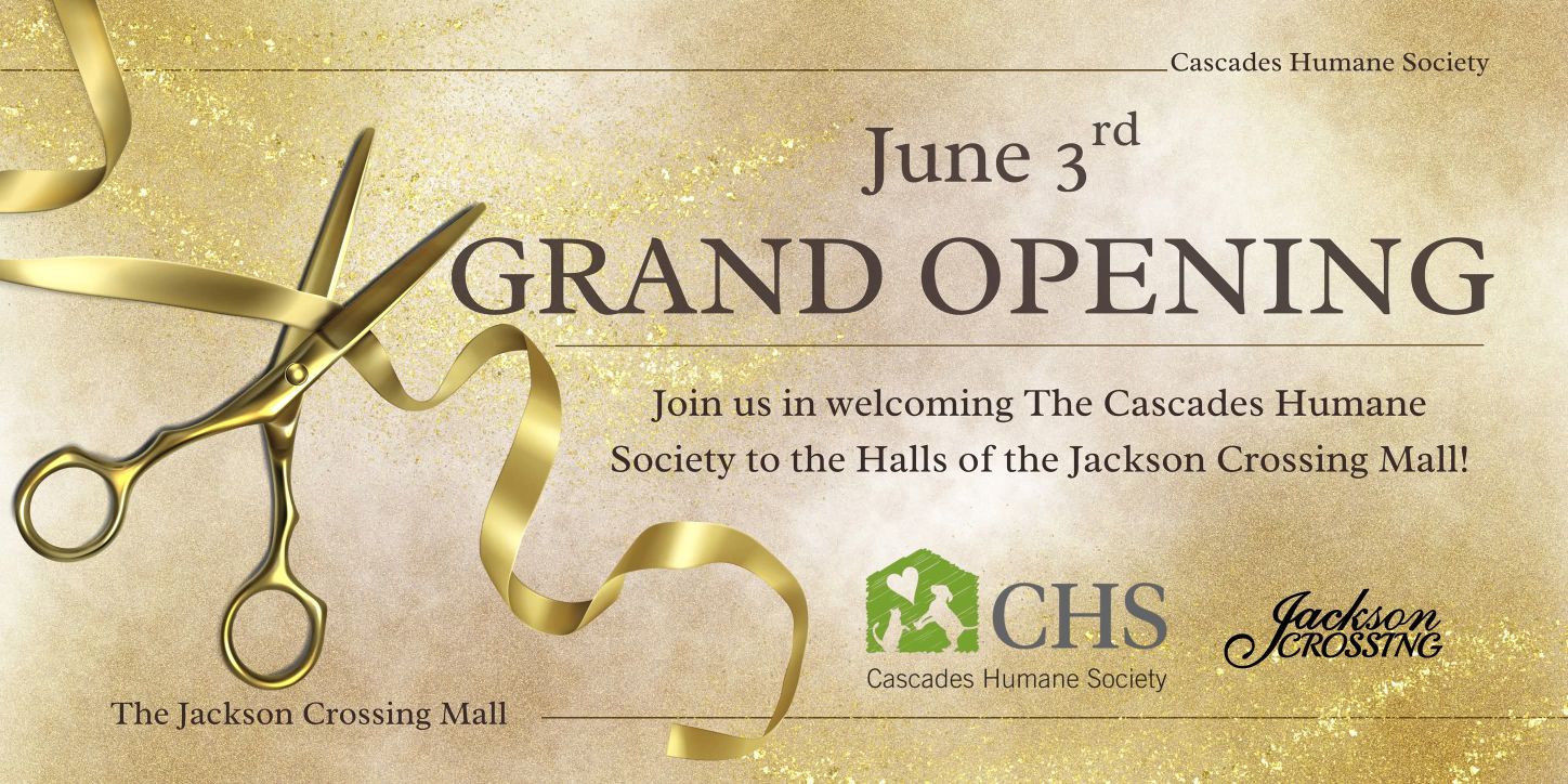 Cascades Humane Society Grand Opening advertisement created by Whimsy