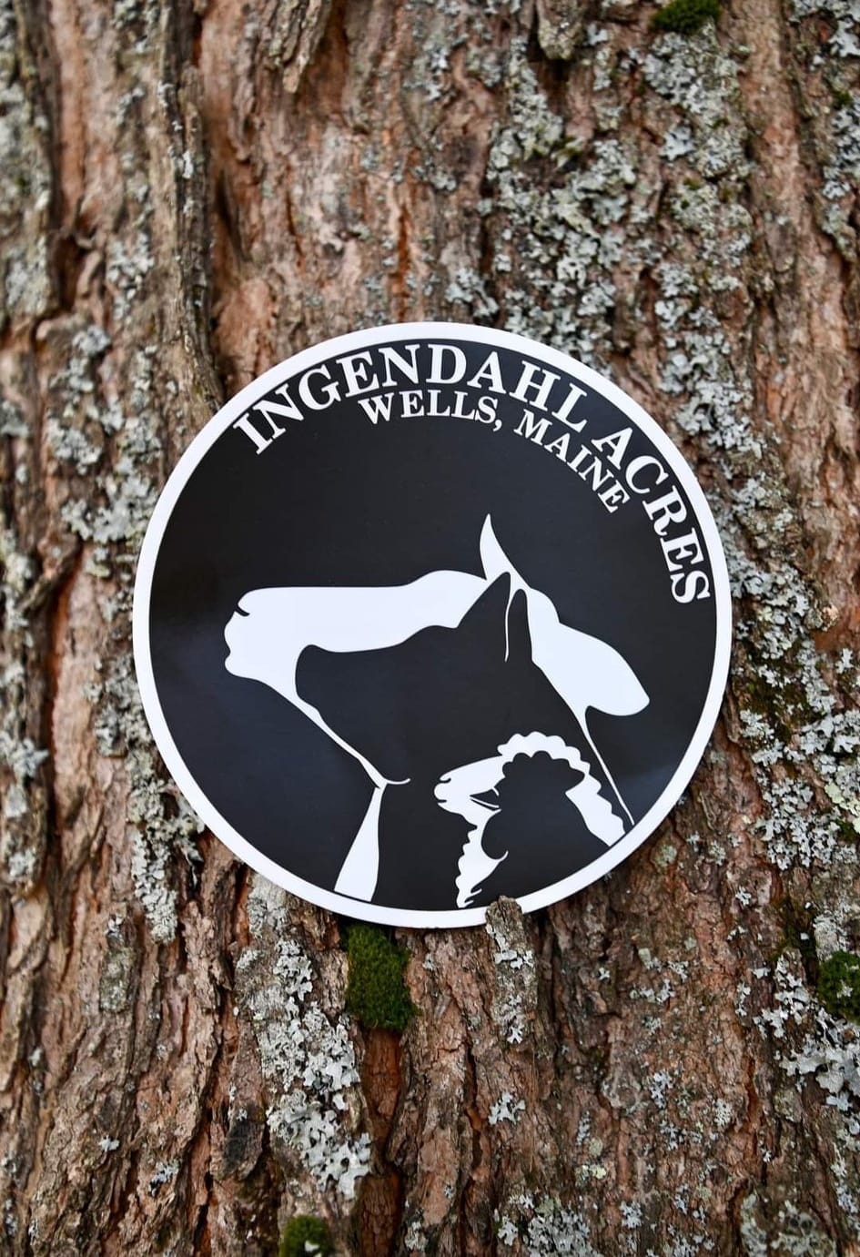 Ingendahl Acres animal silhouette sticker displayed against tree bark