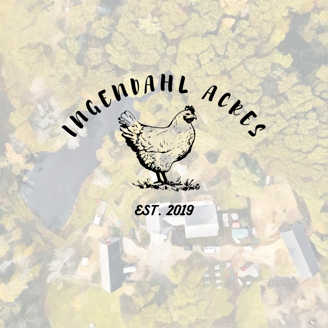 Ingendahl Acres hen graphic with the farm name and established date