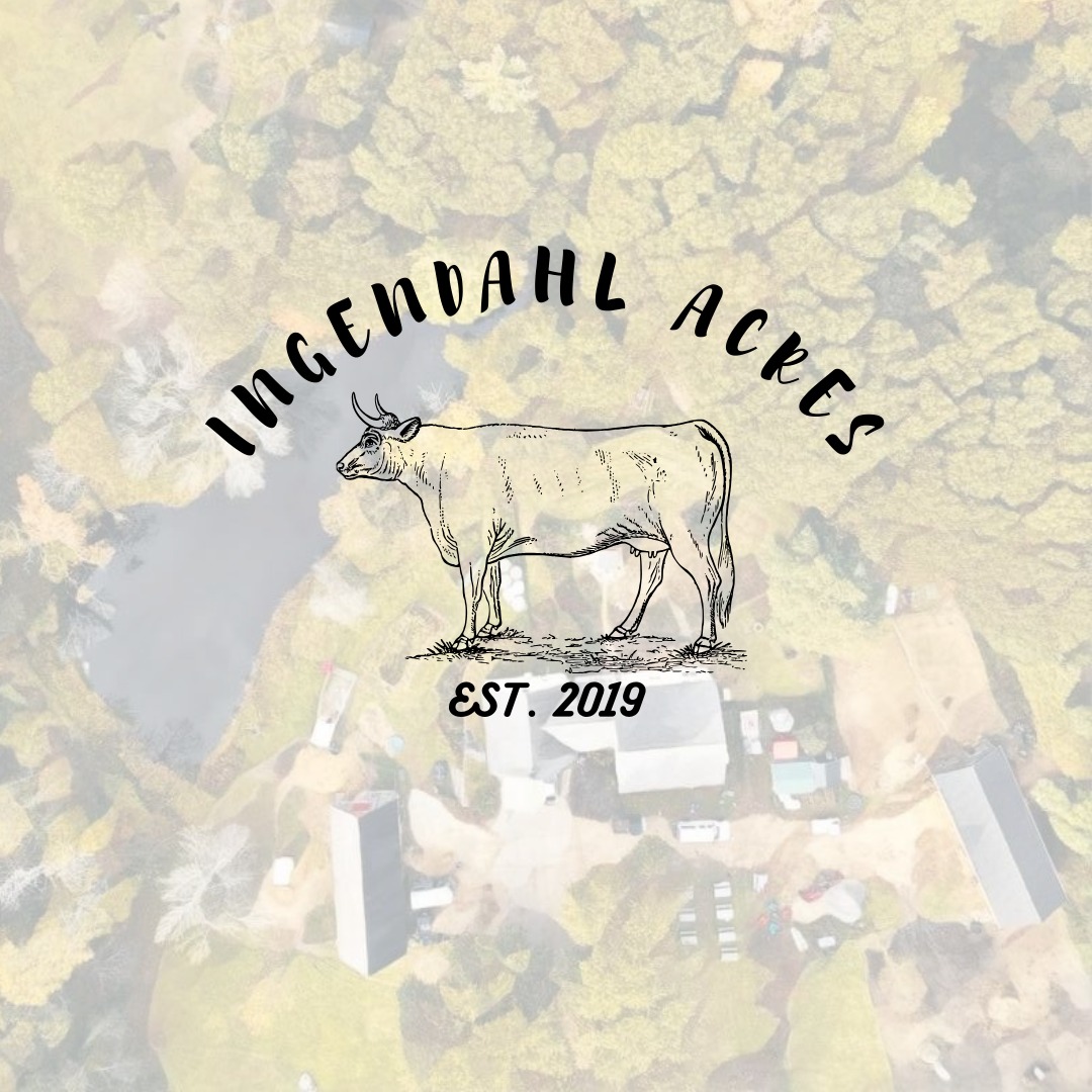 Ingendahl Acres cow graphic over an aerial farm photograph